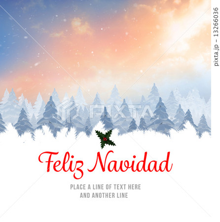 Christmas greeting card Christmas greeting card 13266036