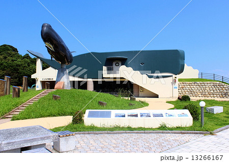 くじらの眠る丘 13266167