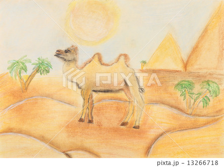 bactrian camel in hot desert 13266718