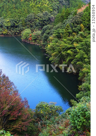 観音の池 観音の池 13268934