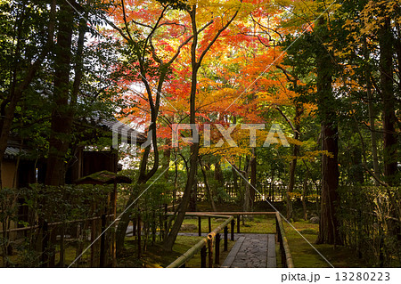 大徳寺 高桐院の紅葉 13280223