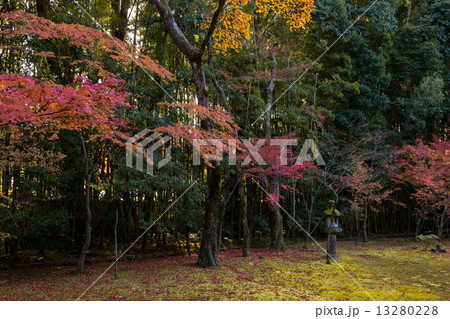 大徳寺 高桐院の紅葉 大徳寺 高桐院の紅葉 13280228