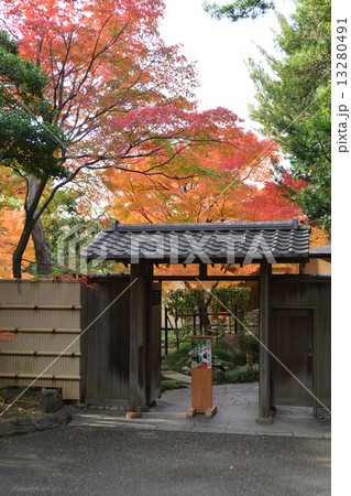 秋の嚶鳴庵 13280491