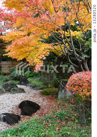 秋の嚶鳴庵 13280520