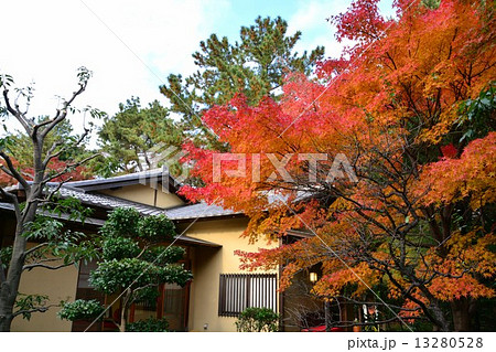 秋の嚶鳴庵 13280528