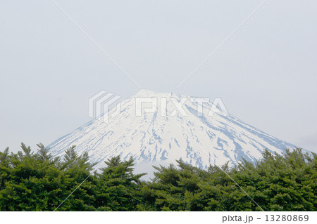 富士山と新緑 13280869
