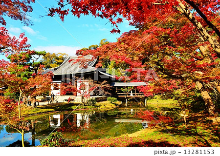 高台寺 紅葉 高台寺 紅葉 13281153
