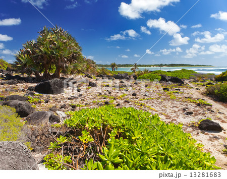 Mauritius. Stony landscape of the island Gabriel Mauritius. Stony landscape of the island Gabriel 13281683