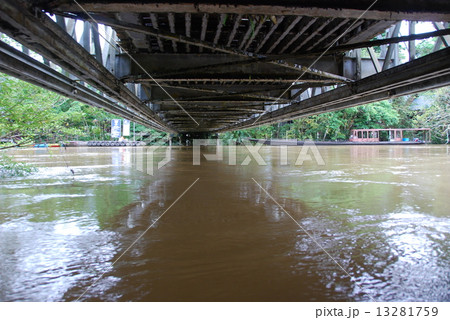 ジャングルの中の川･橋の下をくぐる（グヌン・ムル国立公園／東マレーシア･ボルネオ島） 13281759