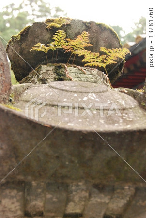 石灯篭(日光東照宮/栃木県日光市山内) 石灯篭(日光東照宮/栃木県日光市山内) 13281760