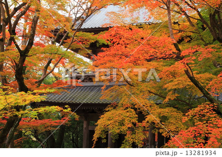 永源寺の紅葉 13281934