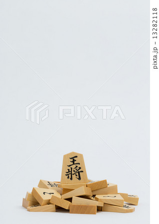 将棋の駒 13282118
