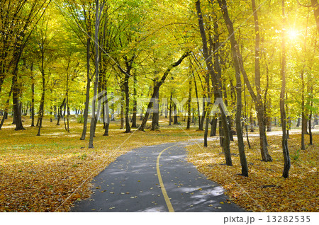 Rays of sun in autumn park 13282535