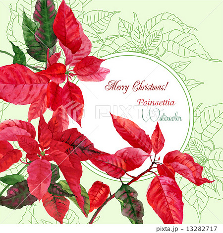 Background  with bouquet of poinsettia 13282717