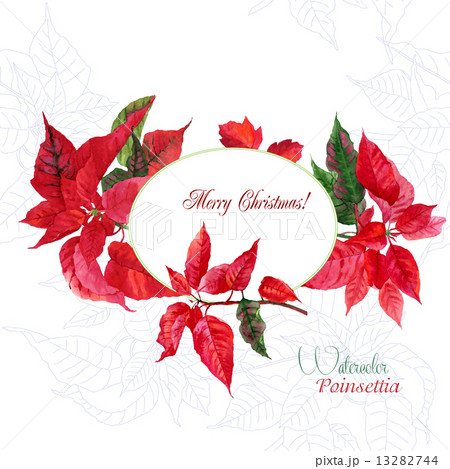 Background with red Christmas poinsettia-02 Background with red Christmas poinsettia-02 13282744