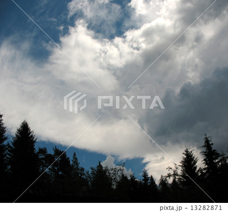 Storm clouds over the forest. Backlight Storm clouds over the forest. Backlight 13282871