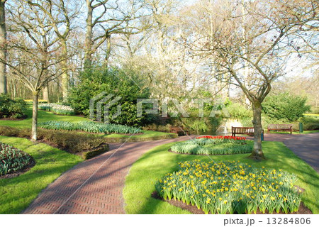 キューケンホフ3 キューケンホフ3 13284806