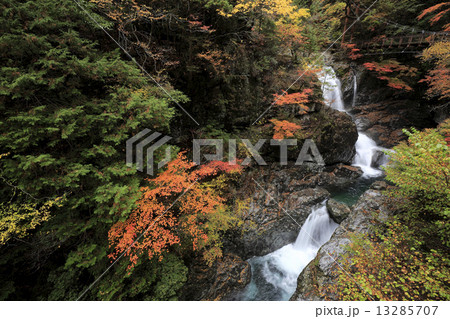 みたらい渓谷　紅葉 13285707