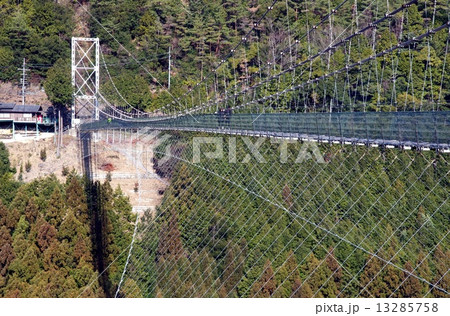 谷瀬の吊り橋 13285758