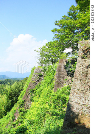 8月大分 岡城・西中仕切から見た三ノ丸石垣 13285842