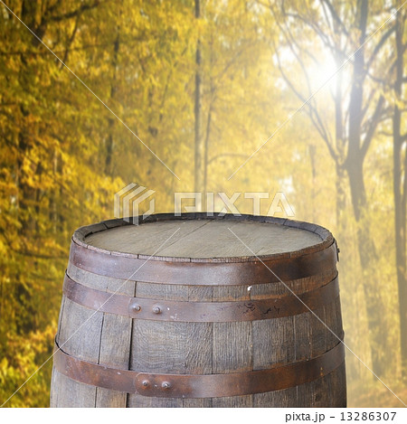 empty barrel 13286307