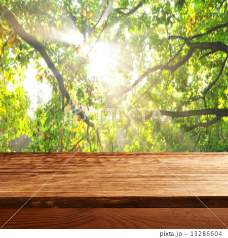 empty table 13286604