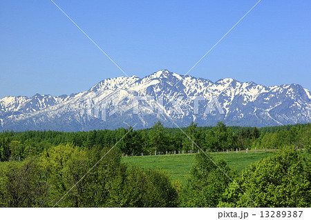 北海道　富良野市　残雪の芦別岳と樹林 13289387