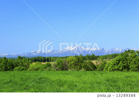 北海道　富良野市　草原と残雪の芦別岳 13289388
