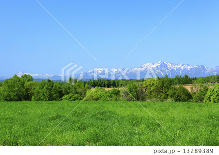 北海道　富良野市　草原と残雪の芦別岳 13289389
