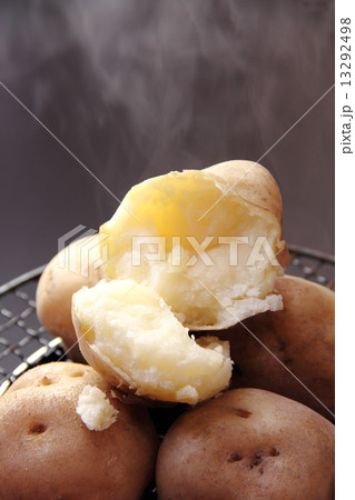 じゃがいも 13292498