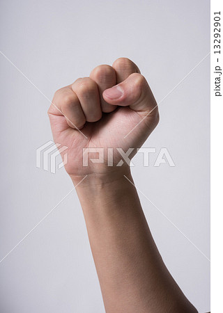 男性の手 13292901