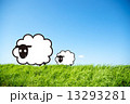 草原羊 13293281