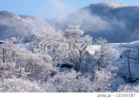 冬の白川郷 13293587