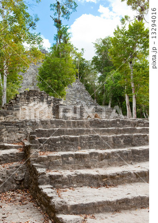 Coba Mayan Ruins in Mexico. 13294016