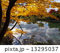 Shugakuin of autumn leaves 13295037