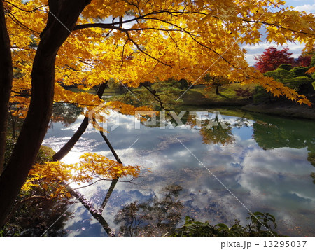 Shugakuin of autumn leaves 13295037