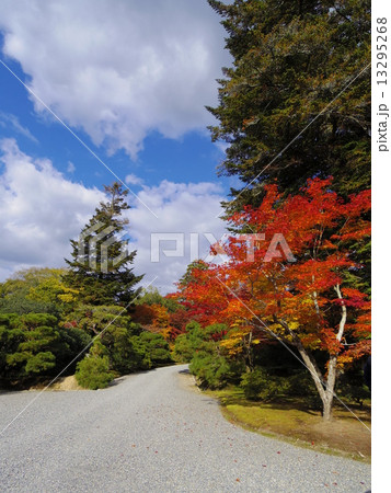 Lower villa of autumn leaves Lower villa of autumn leaves 13295268