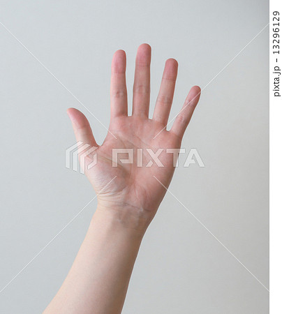 挙手 13296129
