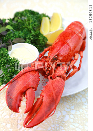 ロブスター ロブスター 13296315