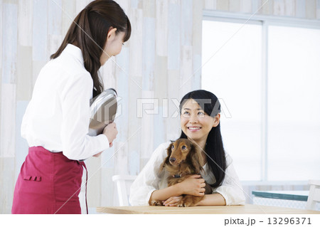 カフェ カフェ 13296371