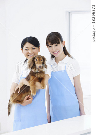 トリマー トリマー 13296373