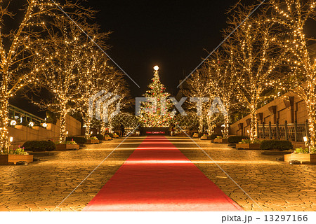 恵比寿ガーデンプレイス ライトアップ クリスマスツリー 正面の写真素材