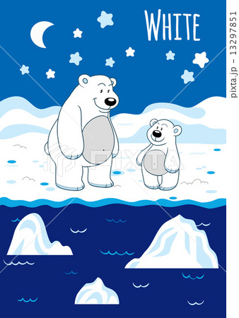 Colors for kids: white (polar bears and winter night) 13297851