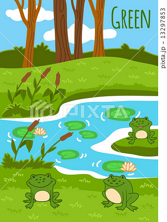 Colors for kids: green (frogs in the sunny forest) Colors for kids: green (frogs in the sunny forest) 13297853