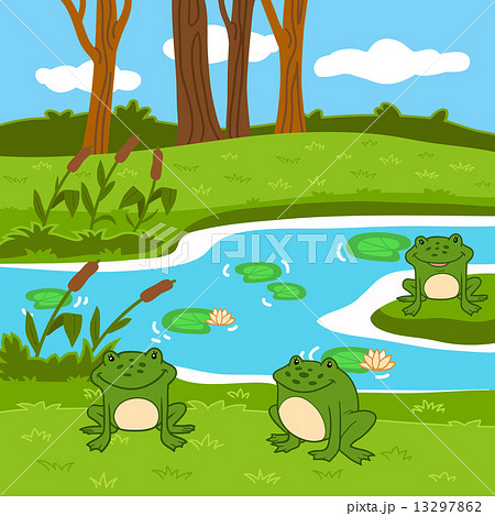 Vector illustration (summer pond in the woods) 13297862