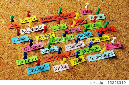 Thank You pin 13298310