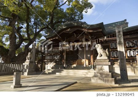 石切神社の本殿と百度石 石切神社の本殿と百度石 13299045