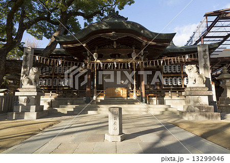 石切神社の本殿と百度石 13299046