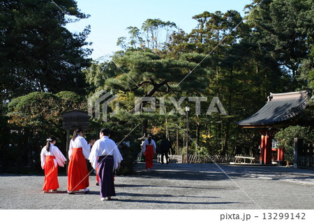 鎌倉 鶴岡八幡宮 巫女さんの写真素材