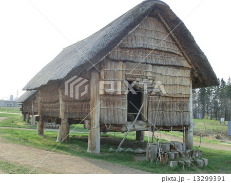 三内丸山遺跡 13299391